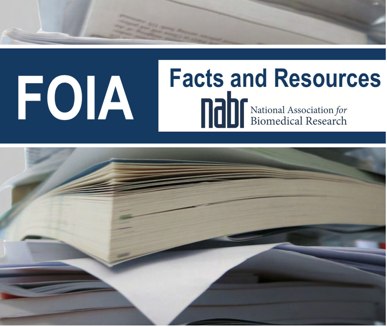 Why Animal Research?