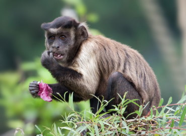 NABR President Matt Bailey on NHP in Bloomberg News